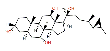 26,27-Cyclo-24,27-dimethylcholestan-3a,7a,12b,20b-tetraol